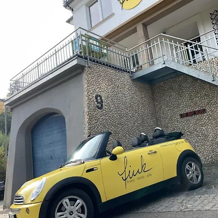 Villa Fink Schramberg Exterior foto