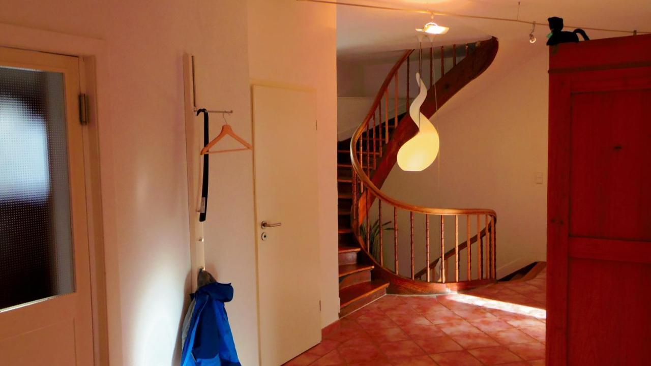 Fink Apartment