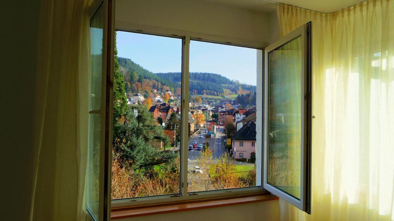 Fink Apartment Schramberg