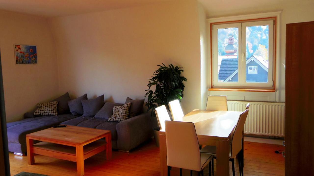 Fink Apartment Schramberg