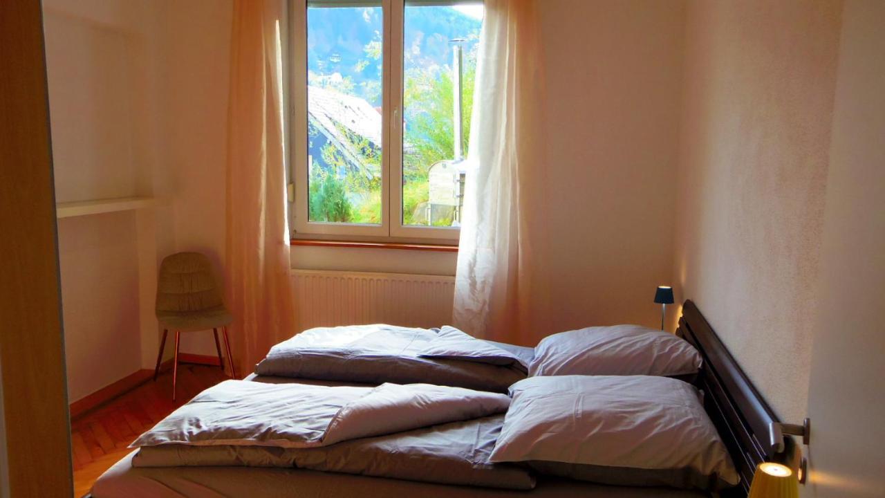 Fink Apartment