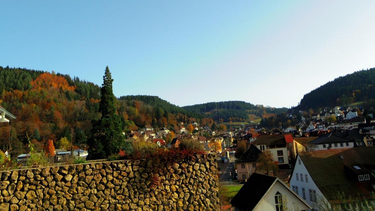 Fink * Schramberg