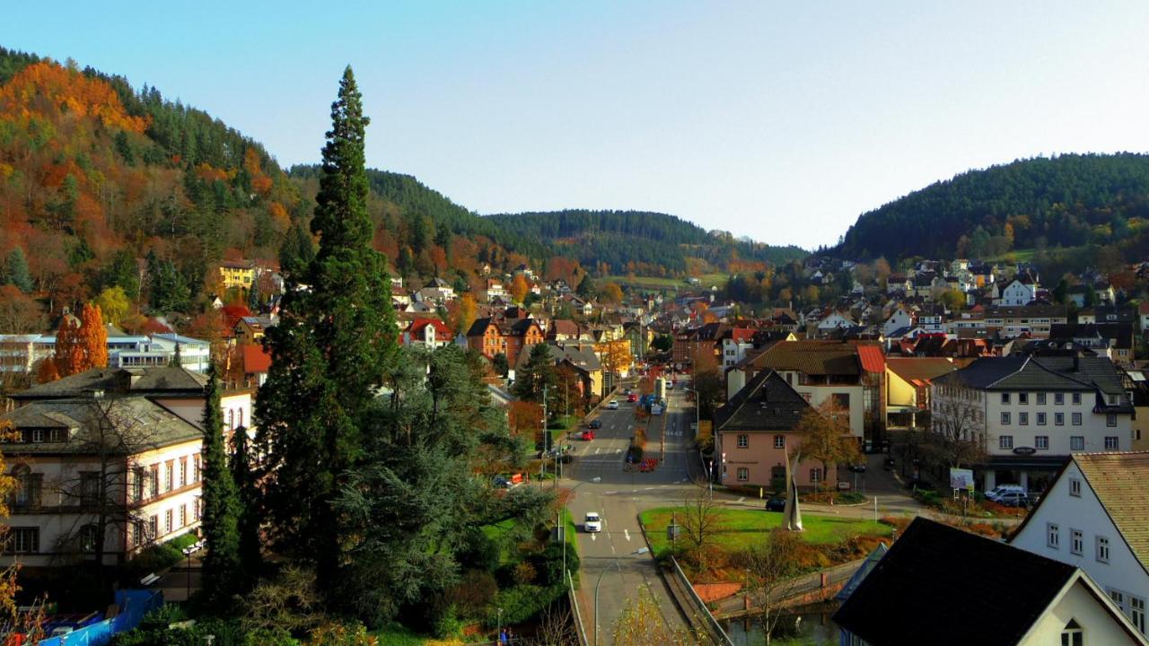 Apartment Fink Schramberg