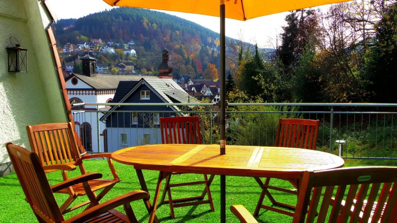 Fink Apartment Schramberg